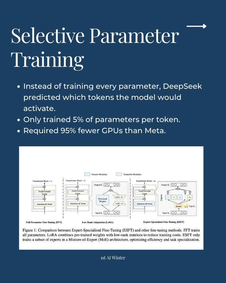 Slide 5: Selective Parameter Training